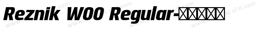 Reznik W00 Regular字体转换